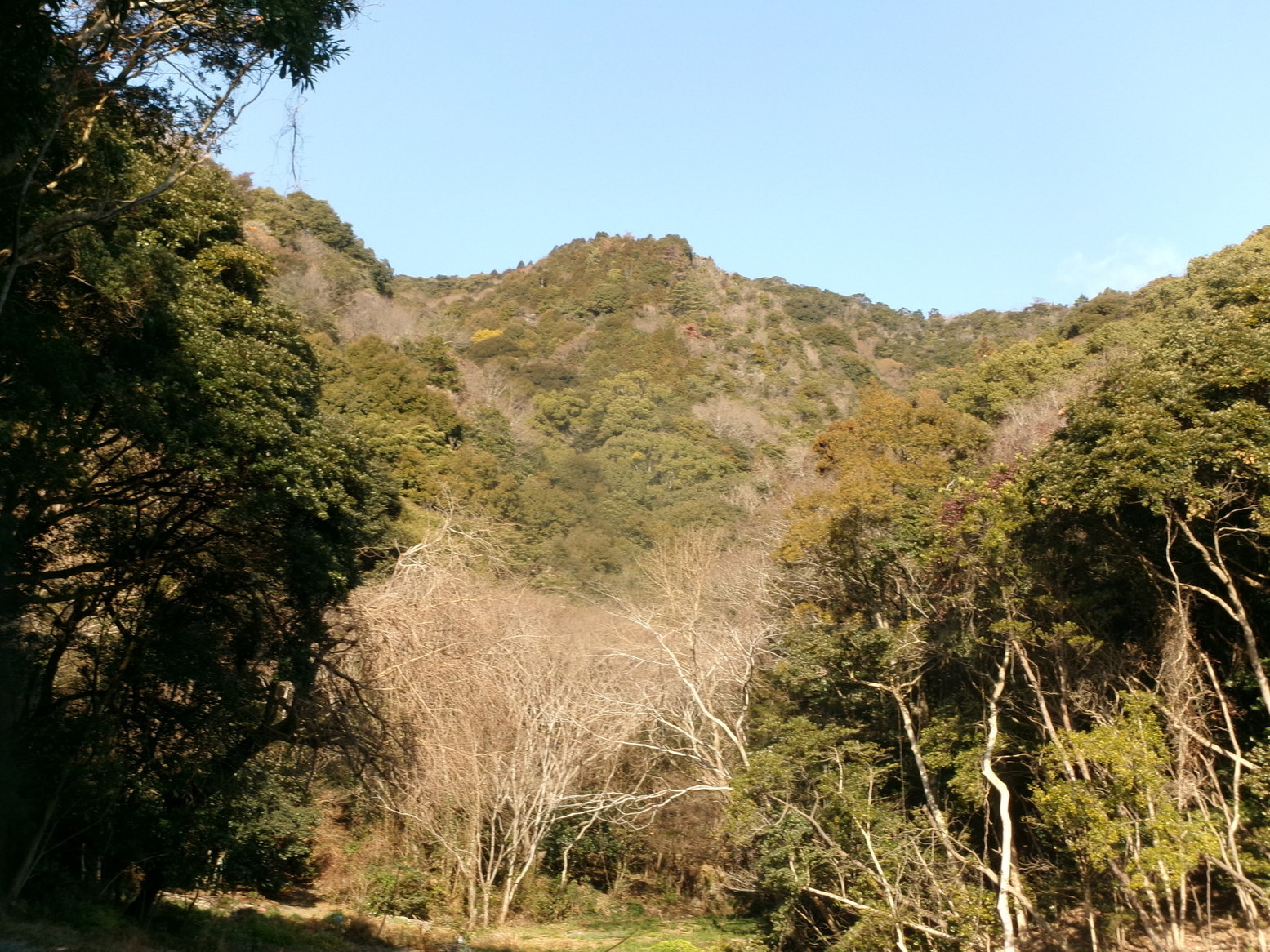 �R�����P�S�S�P��ځi�j�Ə��j