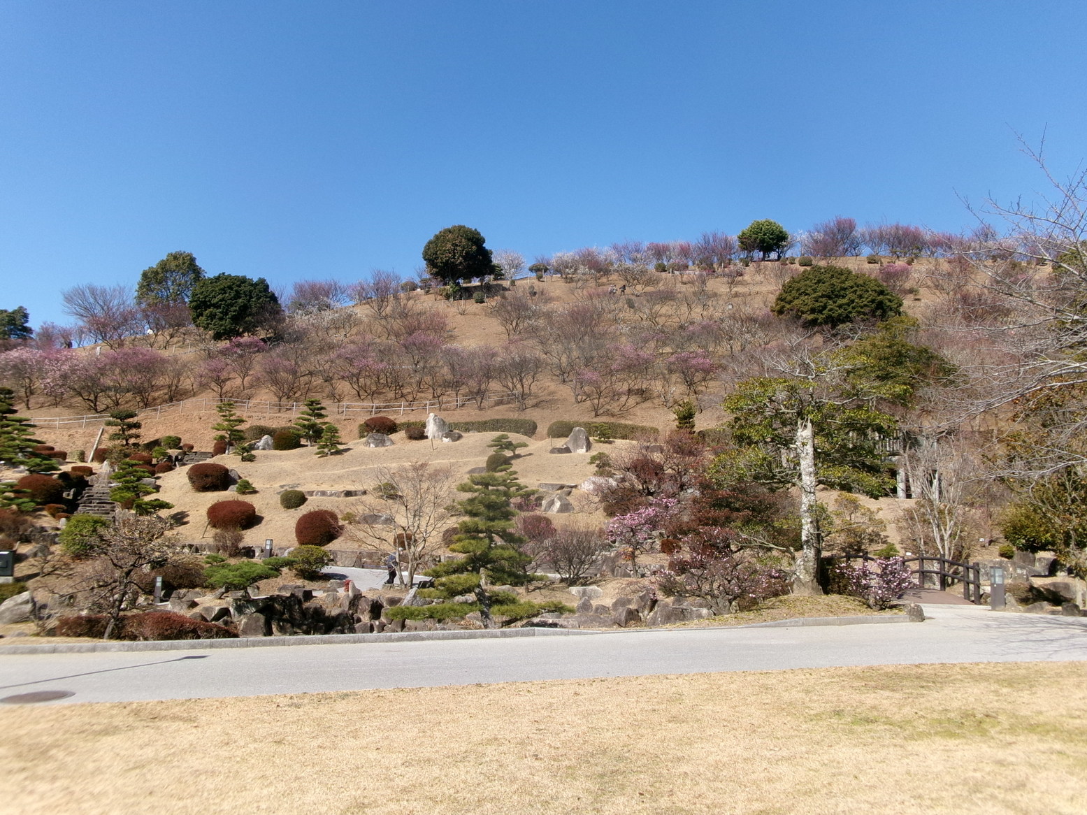 �~�܂�i�j�Ə��j