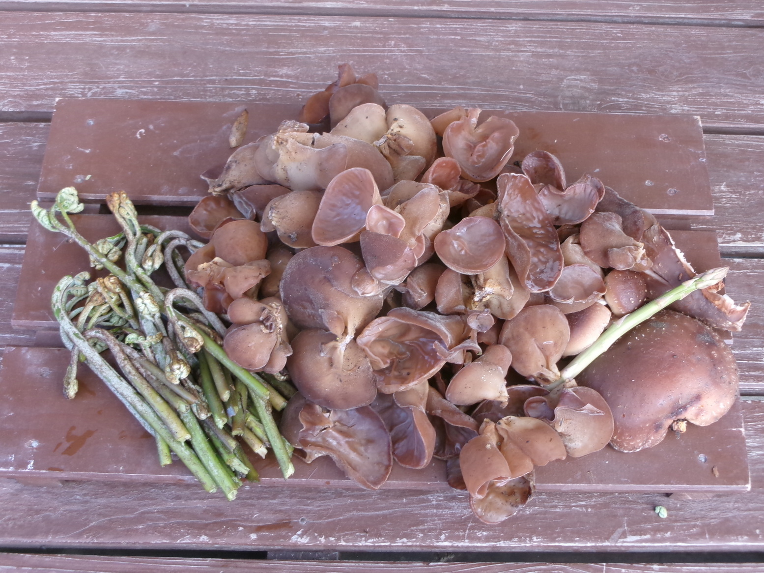 �����̒��H�ƒ����݁i�j�Ə��j