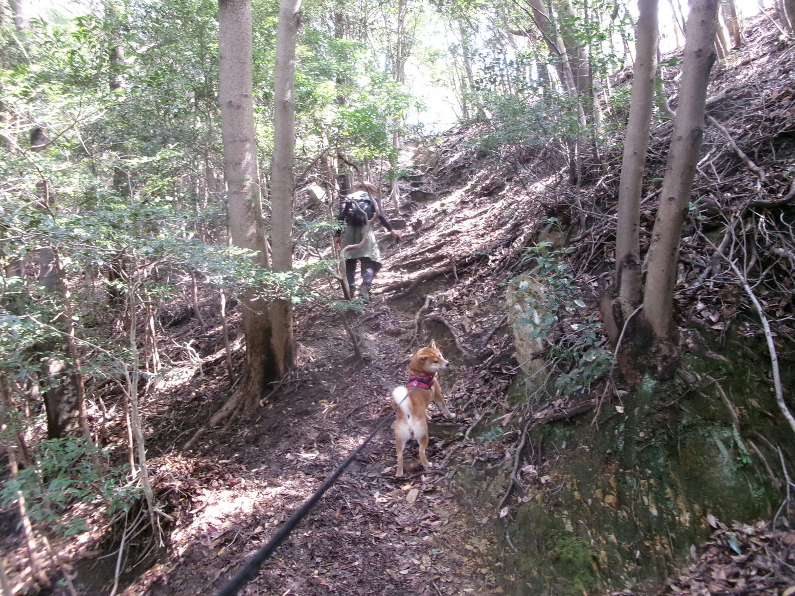 �����̒��H�ƒ��ށi�j�Ə��j