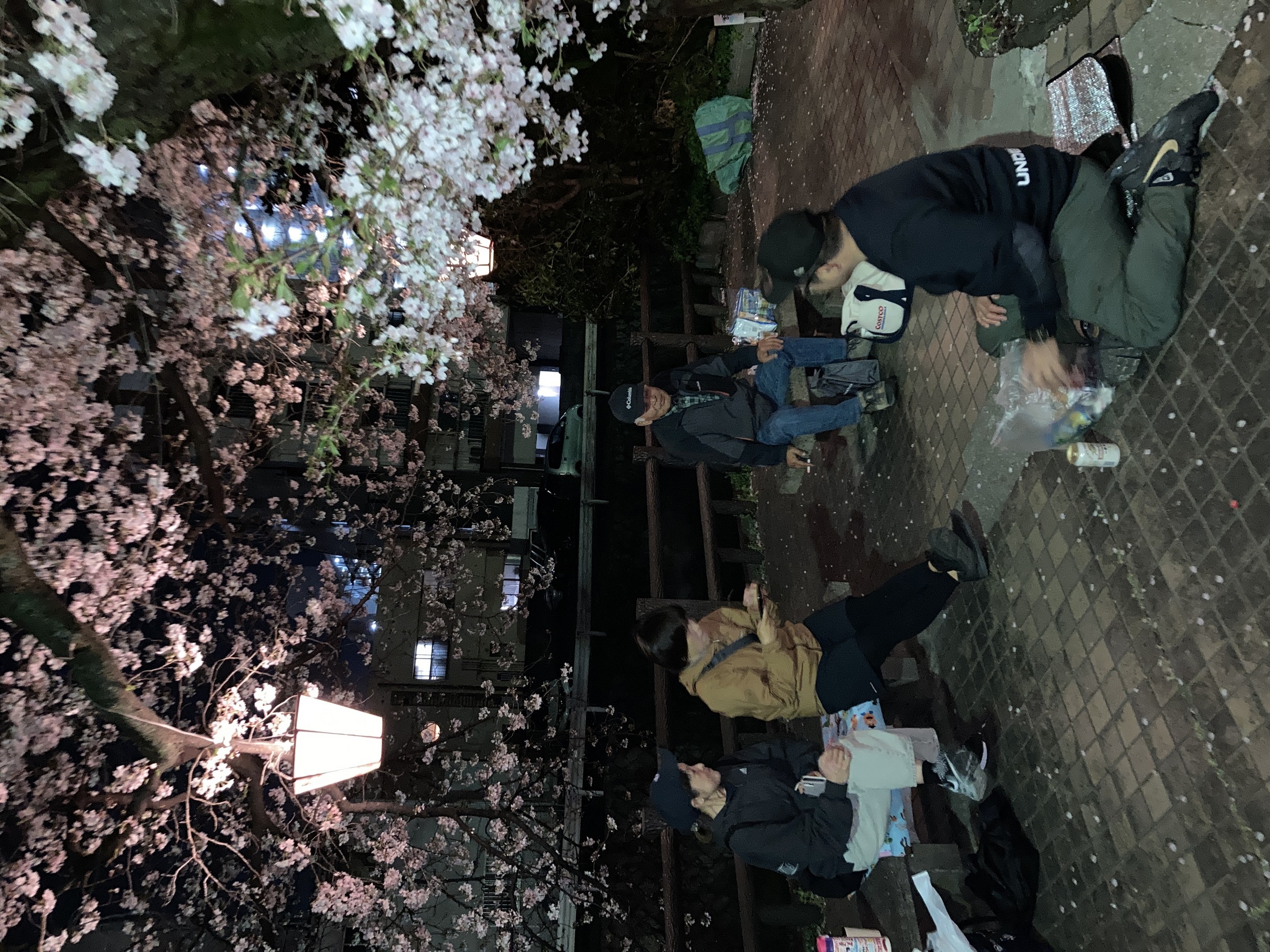 �����_���E�E�E�i�j�Ə��j