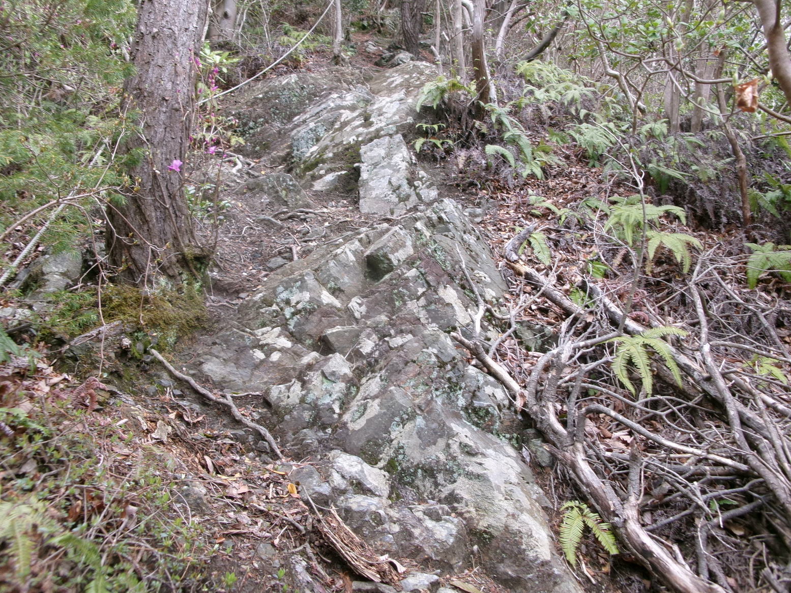 �����̎R�����i�j�Ə��j