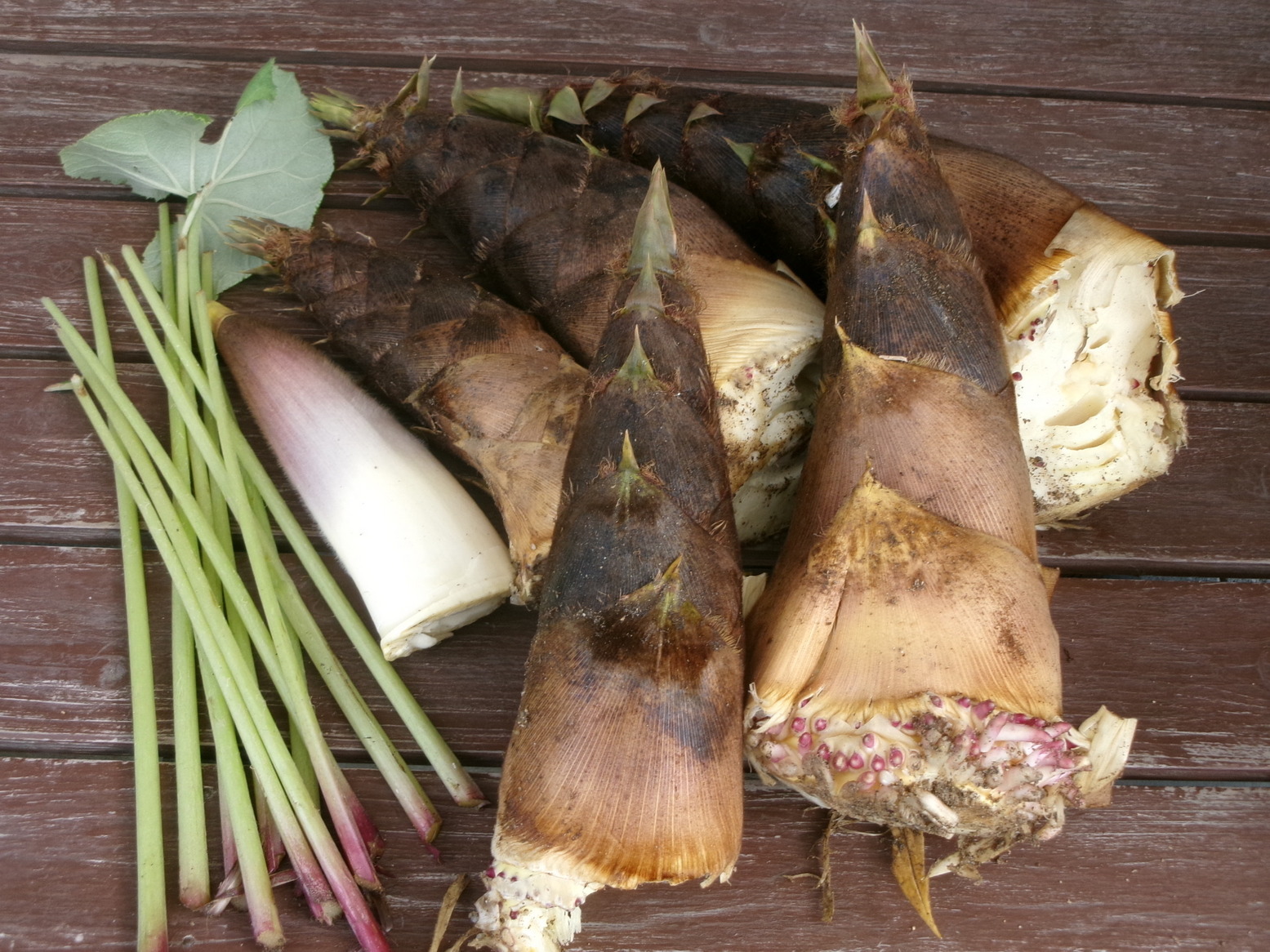 ⡁i�j�Ə��j