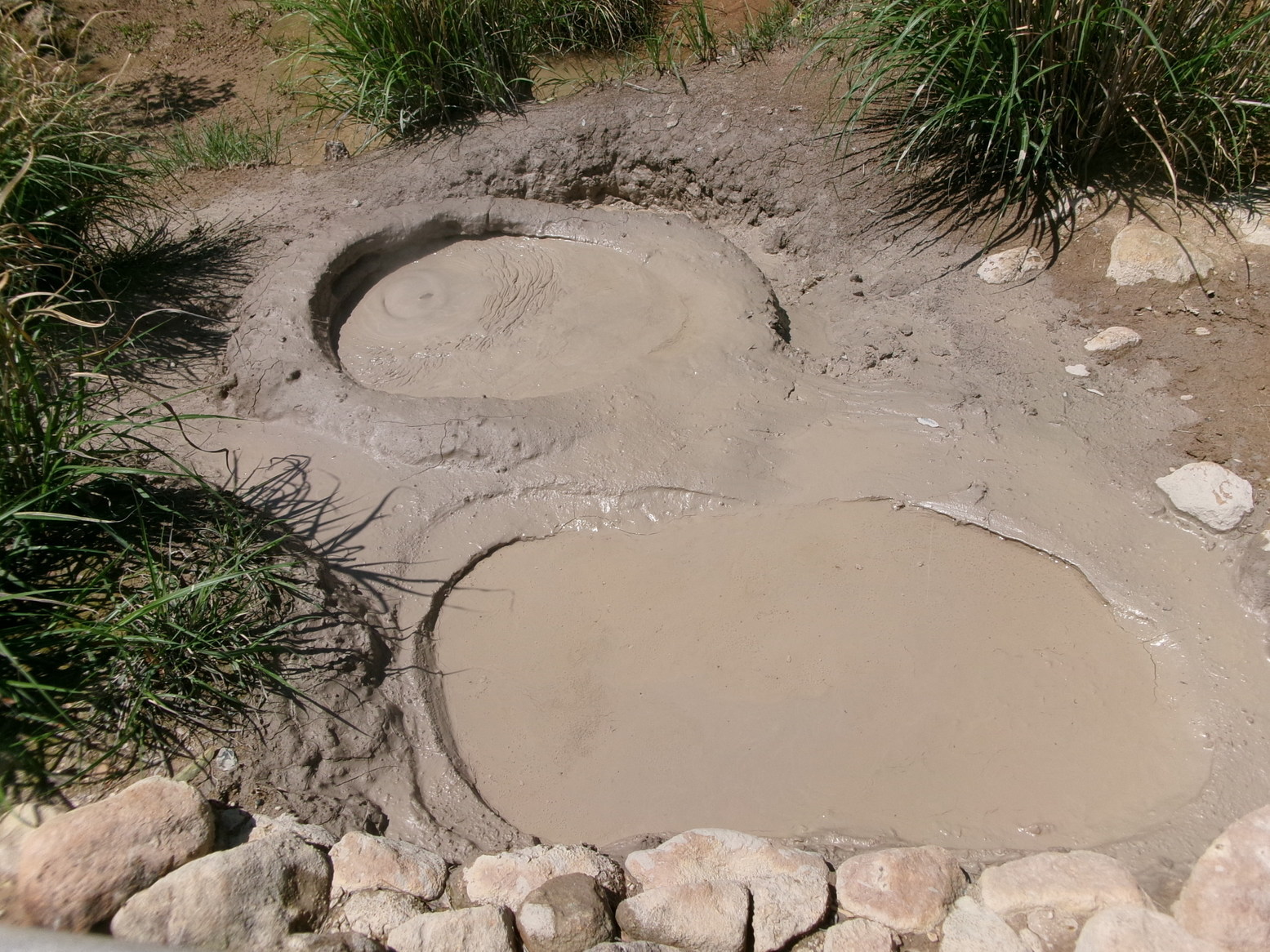 �ʕ{�i�V��n���ƒߌ��x�j�i�j�Ə��j