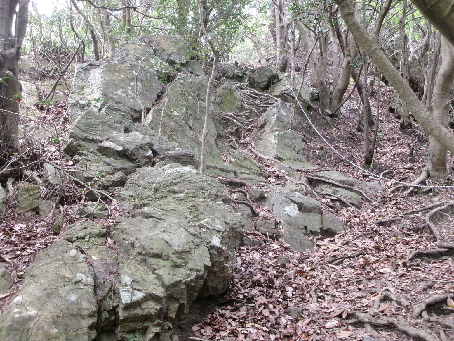 �R�����P�T�Q�P��ځi�j�Ə��j