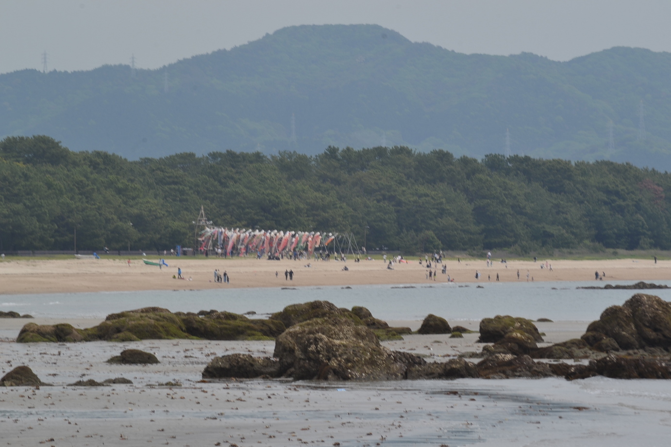 ���P�l�U���i�j�Ə��j