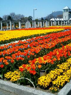 �}�}�̂ЂƂ茾