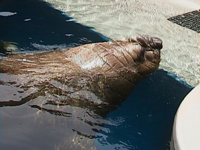 �Ȃ����̃y�[�W