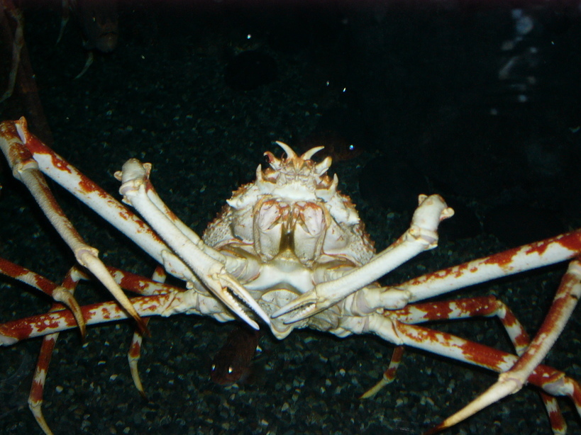 �Ȃ����̃y�[�W