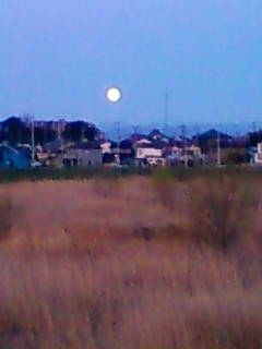 �悤�����I���������v�Z�܂��郊�n�r��