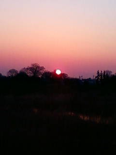 �悤�����I���������v�Z�܂��郊�n�r��