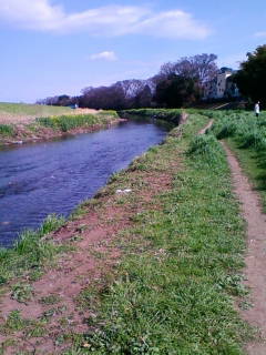 �悤�����I���������v�Z�܂��郊�n�r��