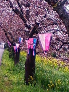 �悤�����I���������v�Z�܂��郊�n�r��