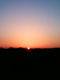 �悤�����I���������v�Z�܂��郊�n�r��