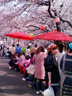 �悤�����I���������v�Z�܂��郊�n�r��