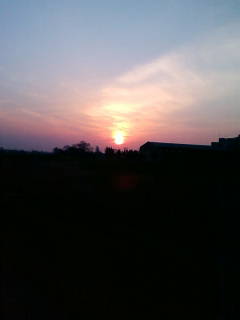 �悤�����I���������v�Z�܂��郊�n�r��