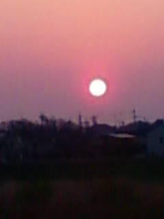 �悤�����I���������v�Z�܂��郊�n�r��