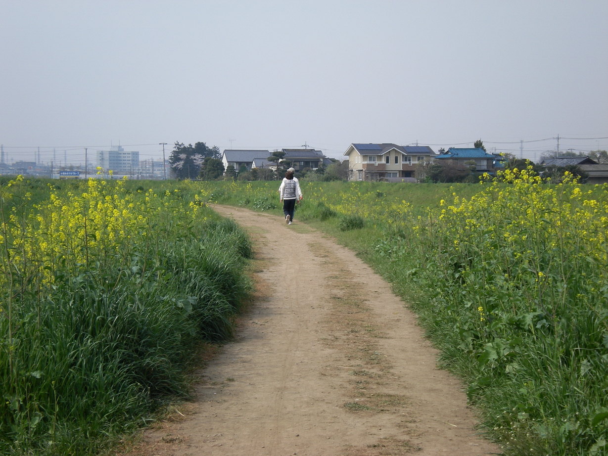 �悤�����I���������v�Z�܂��郊�n�r��