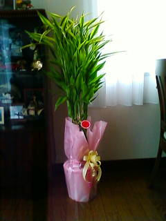 �悤�����I���������v�Z�܂��郊�n�r��