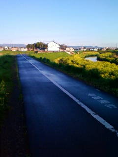 �悤�����I���������v�Z�܂��郊�n�r��