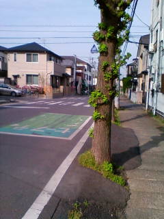 �悤�����I���������v�Z�܂��郊�n�r��