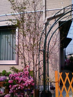 �悤�����I���������v�Z�܂��郊�n�r��