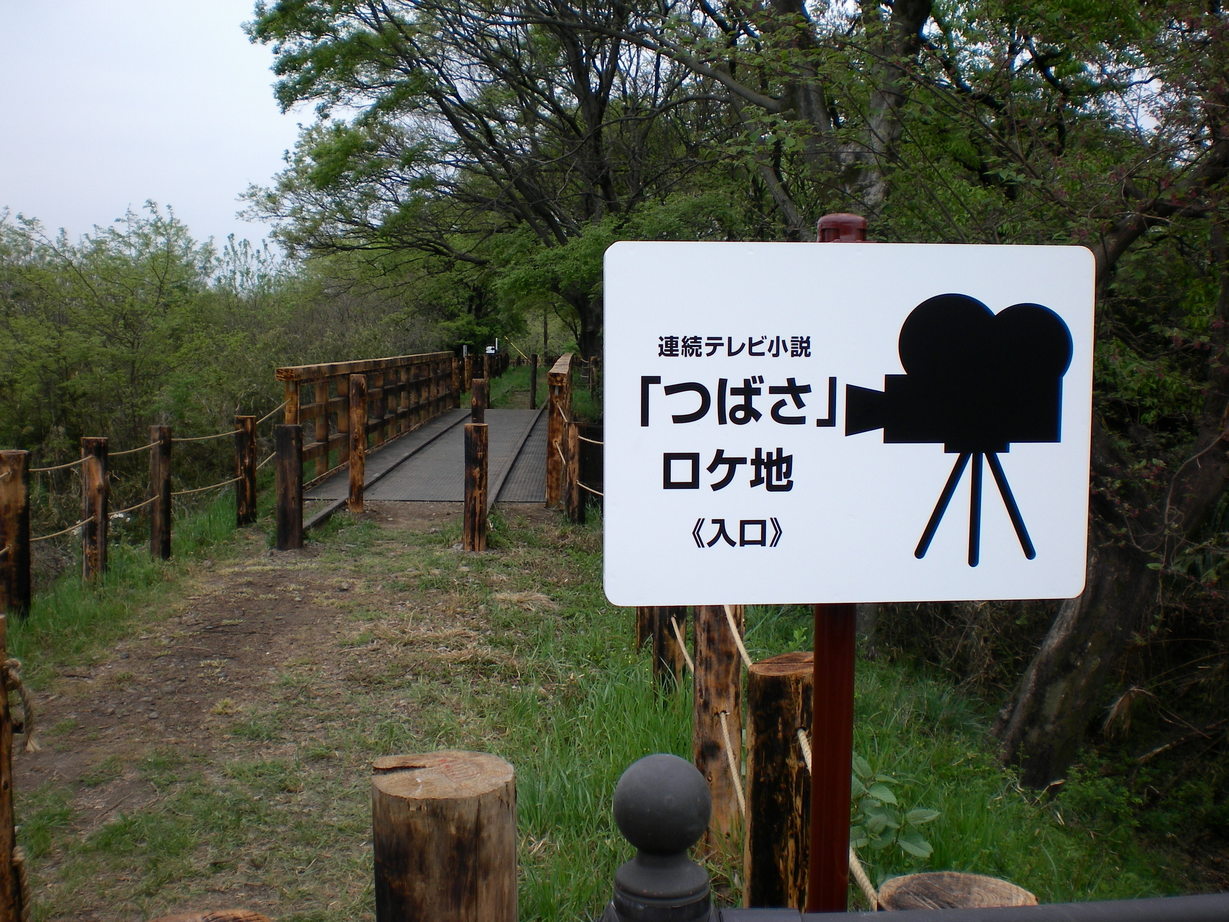 �悤�����I���������v�Z�܂��郊�n�r��