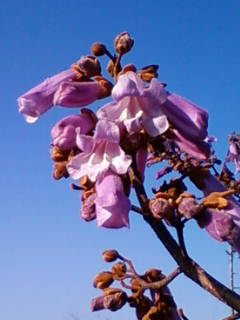 �悤�����I���������v�Z�܂��郊�n�r��