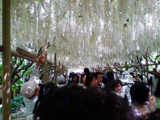 �悤�����I���������v�Z�܂��郊�n�r��