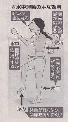 �悤�����I���������v�Z�܂��郊�n�r��