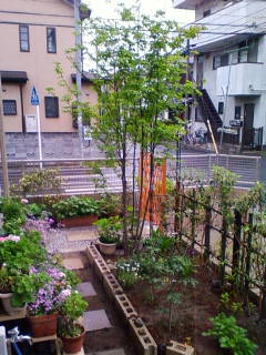 �悤�����I���������v�Z�܂��郊�n�r��