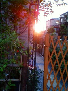 �悤�����I���������v�Z�܂��郊�n�r��