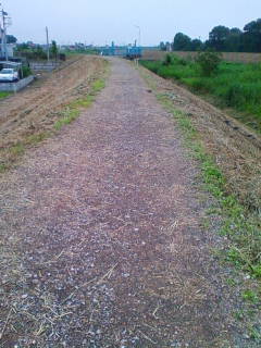 �悤�����I���������v�Z�܂��郊�n�r��