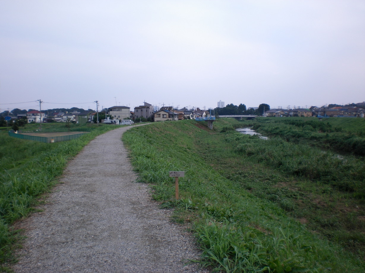 �悤�����I���������v�Z�܂��郊�n�r��