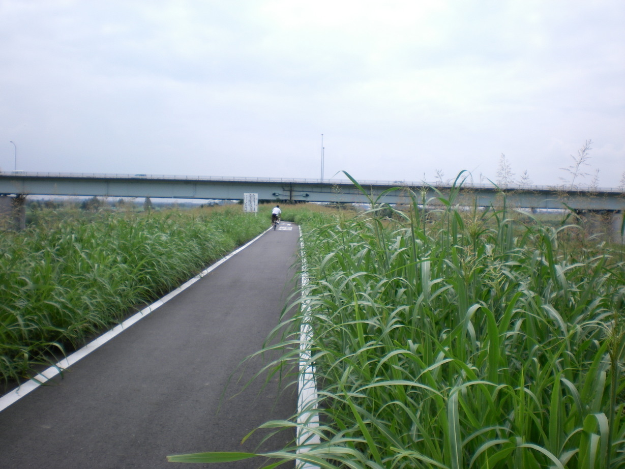 �悤�����I���������v�Z�܂��郊�n�r��