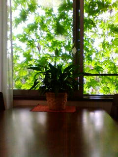 �悤�����I���������v�Z�܂��郊�n�r��