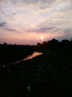 �悤�����I���������v�Z�܂��郊�n�r��