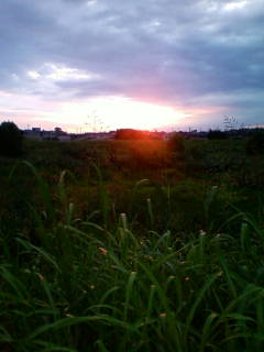 �悤�����I���������v�Z�܂��郊�n�r��