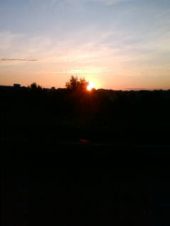 �悤�����I���������v�Z�܂��郊�n�r��