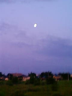 �悤�����I���������v�Z�܂��郊�n�r��