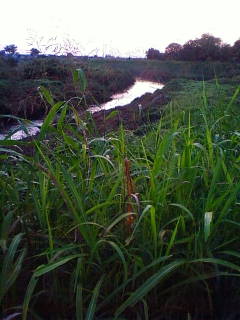 �悤�����I���������v�Z�܂��郊�n�r��