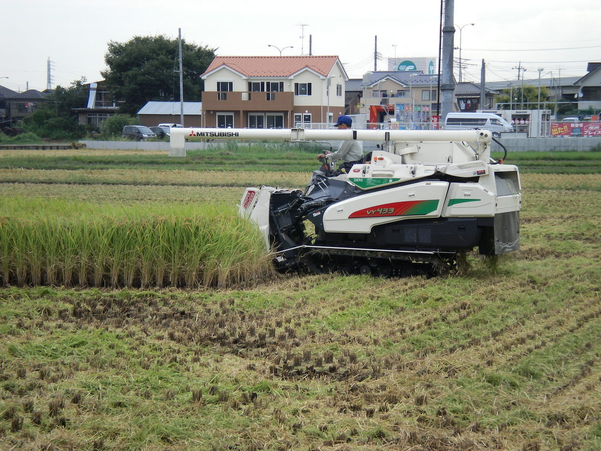 �悤�����I���������v�Z�܂��郊�n�r��