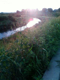 �悤�����I���������v�Z�܂��郊�n�r��