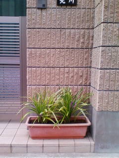 �悤�����I���������v�Z�܂��郊�n�r��