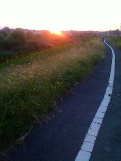 �悤�����I���������v�Z�܂��郊�n�r��