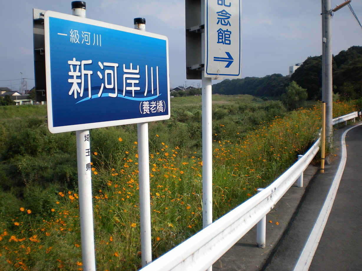 �悤�����I���������v�Z�܂��郊�n�r��