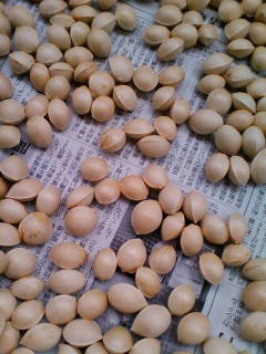 �悤�����I���������v�Z�܂��郊�n�r��