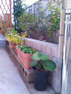 �悤�����I���������v�Z�܂��郊�n�r��