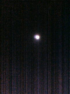 �悤�����I���������v�Z�܂��郊�n�r��