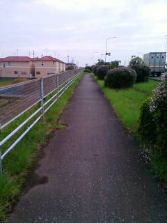 �悤�����I���������v�Z�܂��郊�n�r��